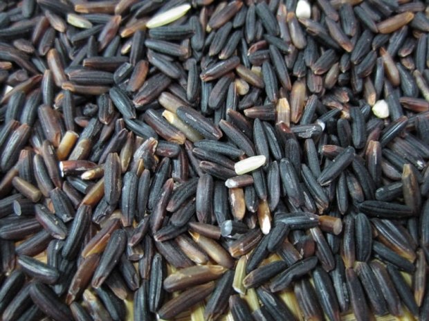 black rice - the forbidden rice