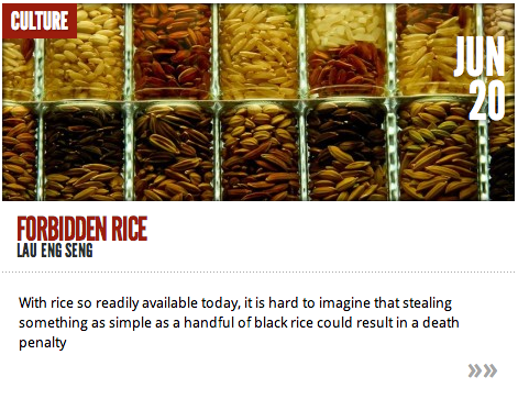 Edible Art Movement featured in Trebuchet Magazine - rice, Lau Eng Seng